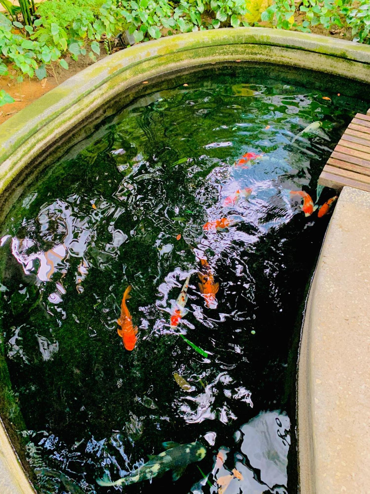 Pangsapuri The Mews Glorious Klcc Kuala Lumpur